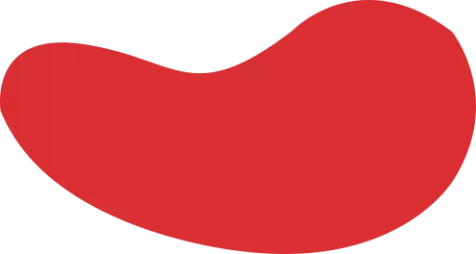 雷竞技raybet苹果下载地址-LOL雷竞技app