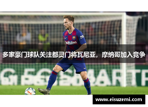 多家豪门球队关注都灵门将瓦尼亚，摩纳哥加入竞争